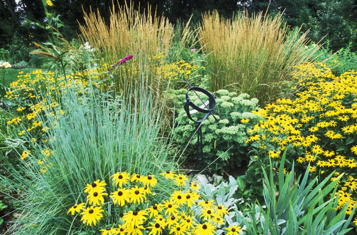Flowering Plants Of The Sierra Nevada: A Photographic Guide To Over